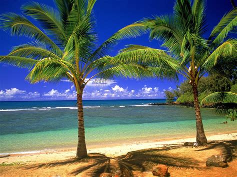 Tropical Beach Scenes Wallpapers Top Free Tropical Beach Scenes