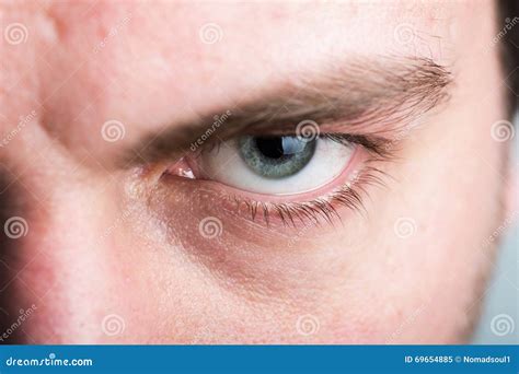 Male Eye Stock Image Image Of People Brown Ophthalmology 69654885