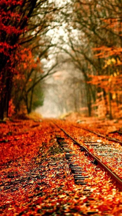 Background Screens Fall Autumn Train Tracks
