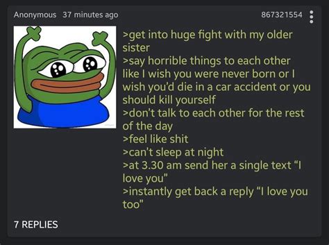 anon gets in a fight with his sister r greentext greentext stories know your meme
