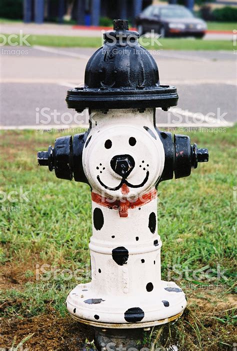 Dalmation Painted Hydrant Fire Hydrant Craft Fire Hydrant Street Art