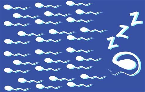 How Sleep Affects Your Sperm Mens Health