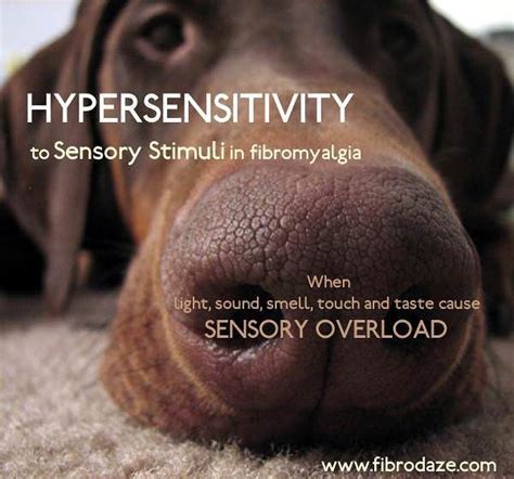 Hypersensitivity To Sensory Stimuli In Fibromyalgia
