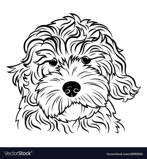 Portrait Of A Dog Portrait Of The Breed Golden Doodle Black White