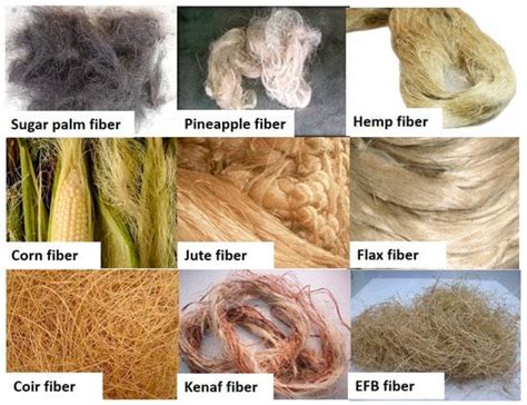 Cellulosic Fibers Types Properties And Uses Textile Engineering