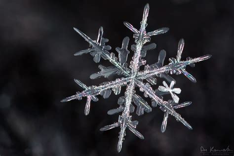 Snowflake Photography