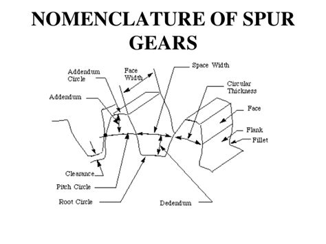 Spur Gear Sketch At Explore Collection Of Spur