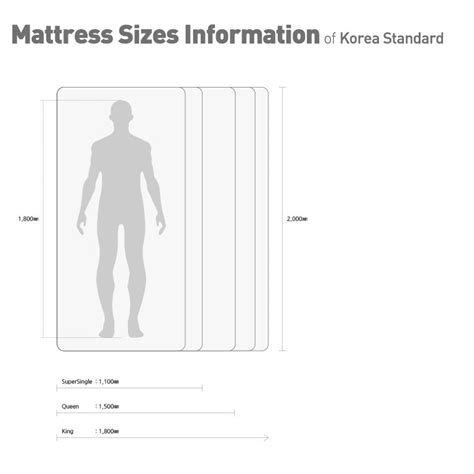 Mattress Sizes In Singapore And Bed Frame Size In Singapore Born In