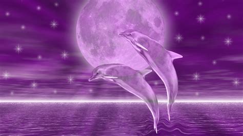 Free Download Download Dolphins Hd Wallpaper Background