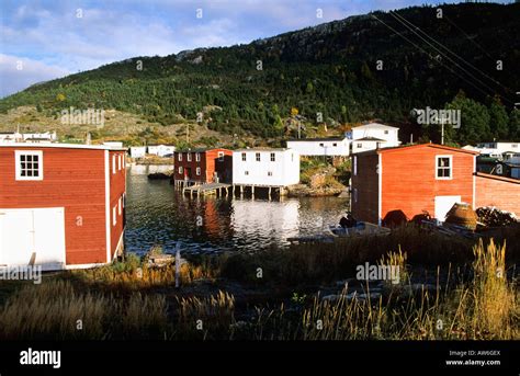Fishing Village Of Salvage Newfoundland Canada Stock Photo Alamy