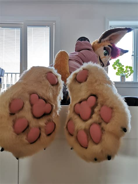 Caraᶠᵉᶰᶰᵉᶜ On Twitter Nowihusky One Serving Of Fennec Beans Coming