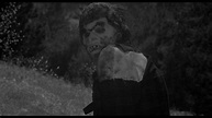 Der Schrecken schleicht durch die Nacht - Film 1958 - Scary-Movies.de