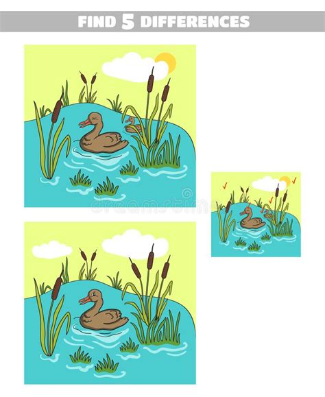 Find Differences Pond Duck Stock Vector Illustration Of Baby 110804829