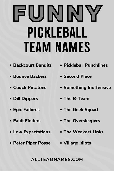 147 Pickleball Team Names That Are Creative And Funny