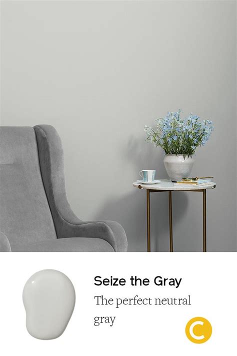Seize The Gray Gray Painted Walls Grey Paint Colors Grey Paint