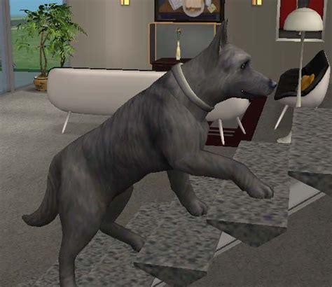 Mod The Sims Black German Shepherd Dog