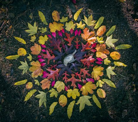 Andy Goldsworthy Fall Leaves