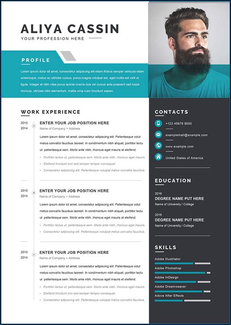 Template For Curriculum Vitae Word Template 1 Resume Examples