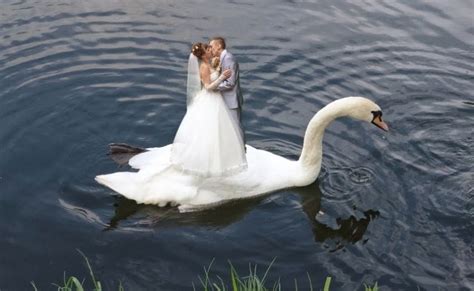 the educational blog funny awkward risque creepy wedding photos from russia [look]