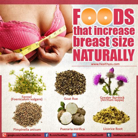 Increase Breast Size Naturally Top 6 Foods Natural Breast Enlargement Natural Breast