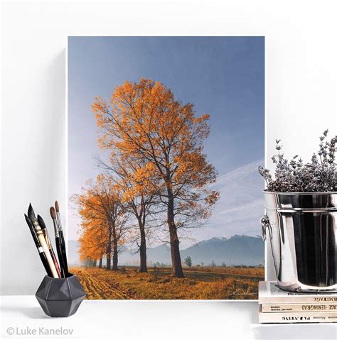 Orange Autumn Trees Landscape Nature Print By Luke Kanelov