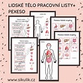 Produkt - Lidské tělo orgány (pexeso+ pracovní listy)