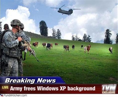 48 Funny Windows Xp Wallpaper On Wallpapersafari