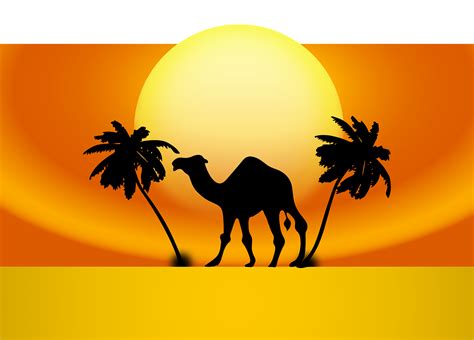 Download Animal Nature Camel Royalty Free Vector Graphic Pixabay