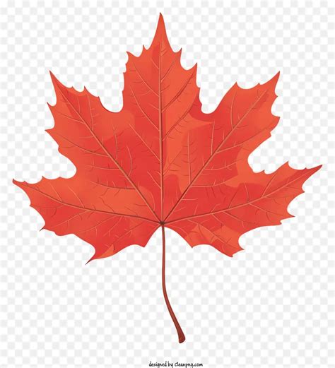 Maple Leaf Iconic Red Maple Leaf Symbolizing Canada Cleanpng Kisspng