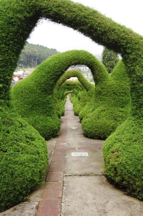 Organically Shaped These Hedges Create An Interesting And Eye Catching