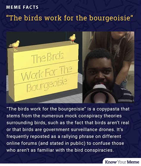 The Birds Work For The Bourgeoisie Know Your Meme