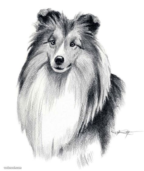Because who doesn't like puppies? Dog Art Drawing 11