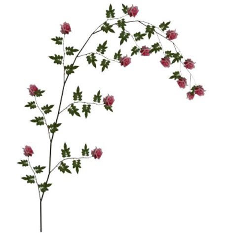 40 Rose Vines Clipart Clipart Best Clipart Best