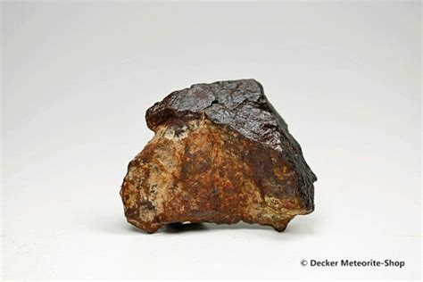 Dhofar 020 Meteorit 3030 G Kaufen Decker Meteorite Shop
