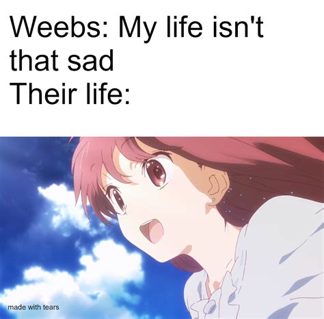 promise me that you won t cry r animemes