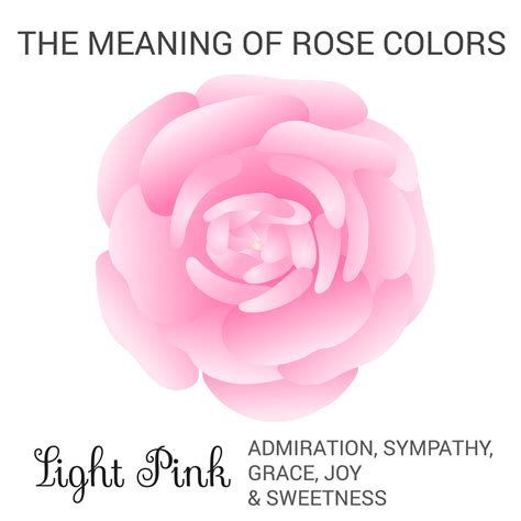 Rose Color Meanings What Does Each Shade Symbolize Color Meanings