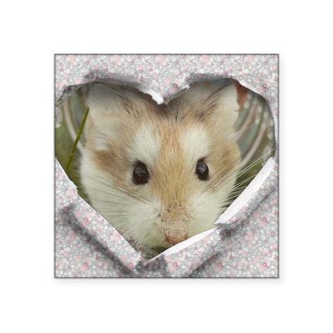 Still it is possible to compress jpg file by standard method by specifying level of quality. Hamster Picture 835 1000 Jpg - xx-jermin47-love-xx