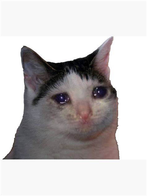 Sad Cat Meme Poster By Masoncarr Redbubble