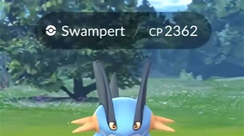 Swampert Pokemon GO Best Moveset To Use