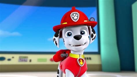 Watch Paw Patrol Pups Go All Monkey Pups Save A Hoot S1 E19 Tv Shows