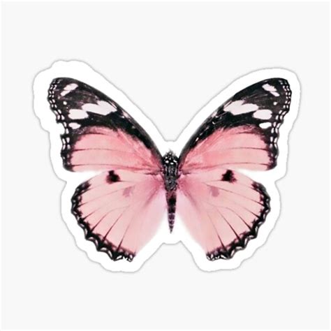 Pink Butterfly Aesthetic Stickers For Sale Pink Butterfly