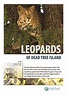 Leopards of Dead Tree Island Movie Streaming Online Watch