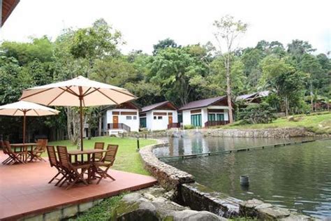 Kemudahan termasuk kolam dan bedekatan dengan sungai. 26 Tempat Menarik Di Janda Baik Untuk Percutian Singkat ...