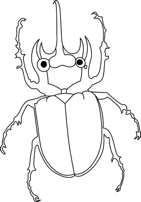 Amazing Animals Beetle Coloring Pages Best Place To Color