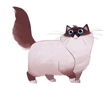 Ragdoll Cat Drawing At Getdrawings Free Download