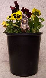 Flower Pot Huggers Pictures