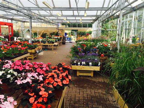 The season's best plants, flowers, & gifts at reasonable prices. Garden Centres in Bath | Garden Centres Near Me