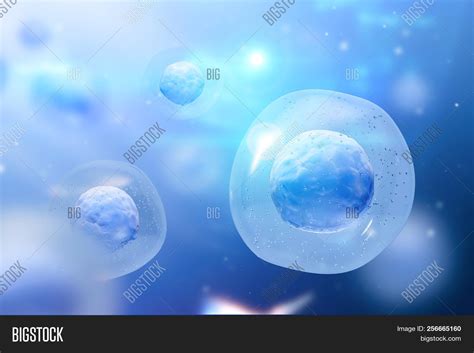 Macro Blue Cell Image And Photo Free Trial Bigstock