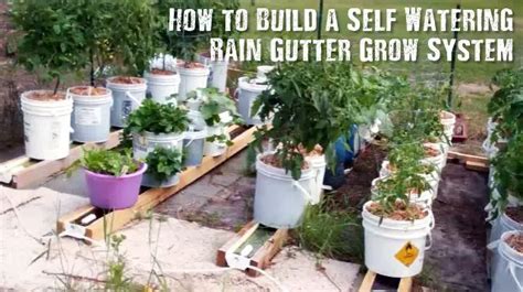 How To Build A Self Watering Rain Gutter Grow System The Fal Files