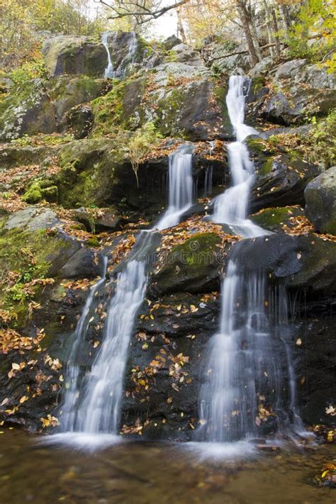 Dark Hollow Falls In Shenandoah National Park Stock Photo Image Of